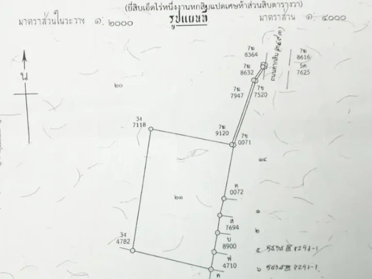 ที่ดินจันทบุรี 21 ไร่ 1 งาน 685 ตารางวา ตท่าช้าง