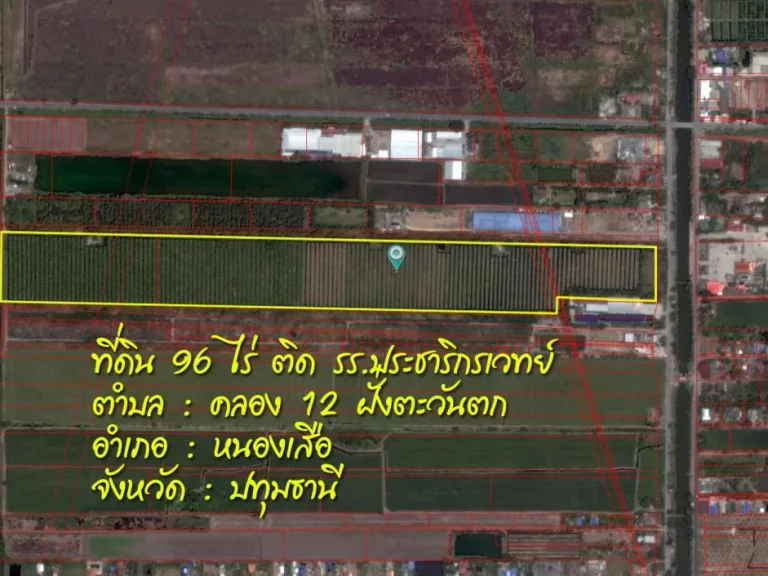 ที่ดินหนองเสือ 96 ไร่ คลอง 12 ฝั่งตะวันตก ตหนองสามรัง ปทุมธานี