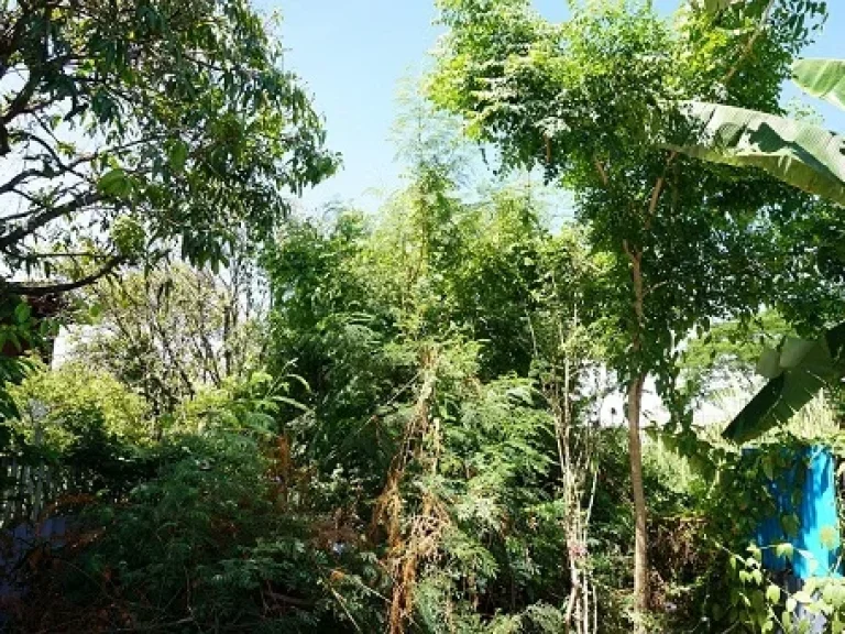 ขายที่ดินถนนประชาอุทิศ ตัดออกถนนสุขสวัสดิ์ได้