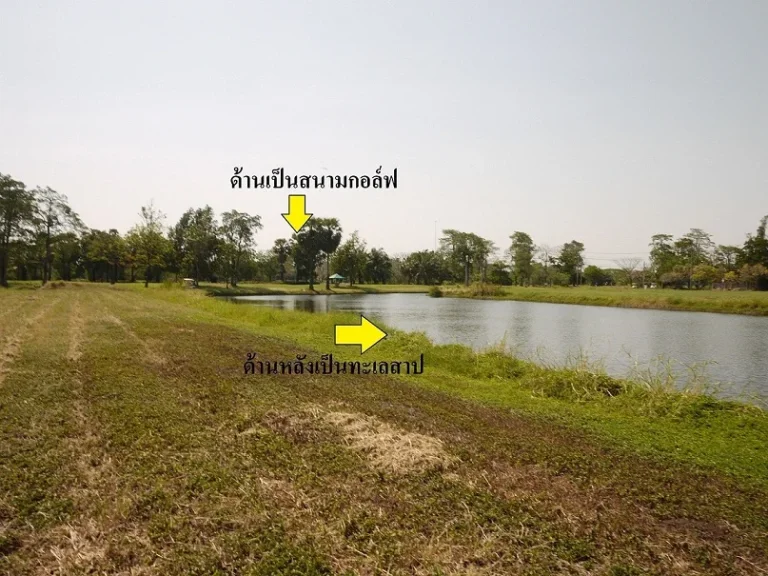 ขายที่ดิน สนามกอล์ฟ Lakewood บางนา-ตราด ติดทะเลสาบของหมู่บ้าน 