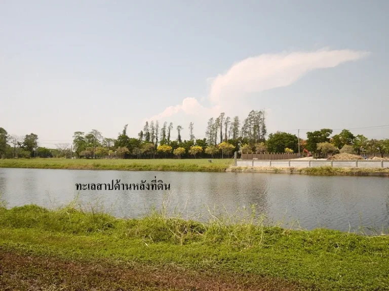 ขายที่ดิน สนามกอล์ฟ Lakewood บางนา-ตราด ติดทะเลสาบของหมู่บ้าน 