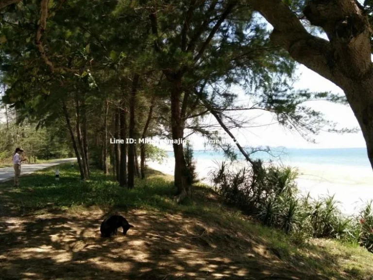 ขายที่ดินริมทะเลหาดดอนสำราญ