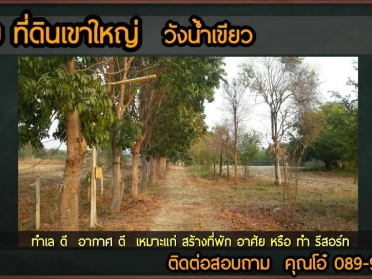 ขาย ที่โฉนด ที่ดินปากช่อง วังน้ำเขียว ตหนองสาหร่าย ราคาถูก