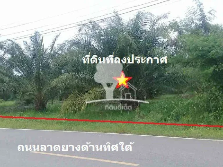 ขายที่ดิน 16 ไร่ ใกล้ อบตเขากระปุก เห็นวิวเขา ติดถนนลาดยาง 2 ด้าน