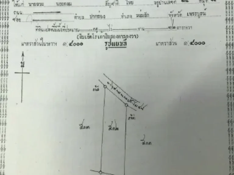 ขายที่ดินป่าสักอายุสักประมาณ18ปี เนื้อที่ 38 ไร่ จเพชรบูรณ์