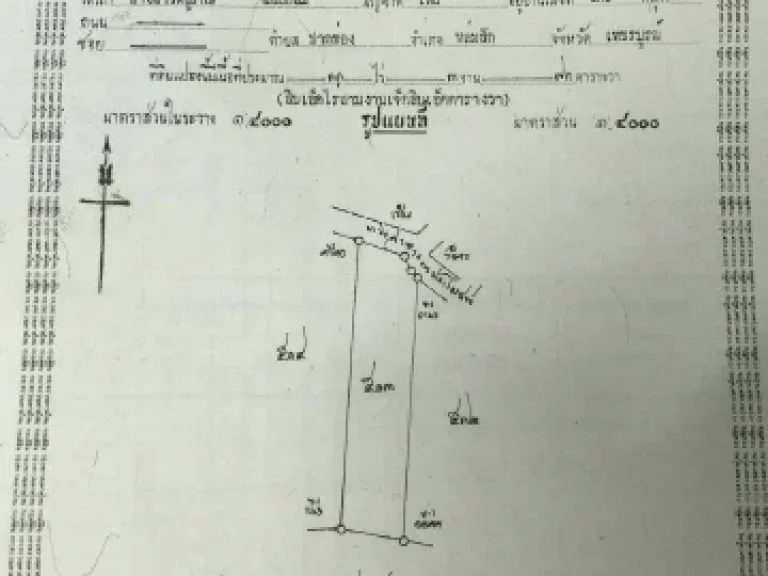 ขายที่ดินป่าสักอายุสักประมาณ18ปี เนื้อที่ 38 ไร่ จเพชรบูรณ์