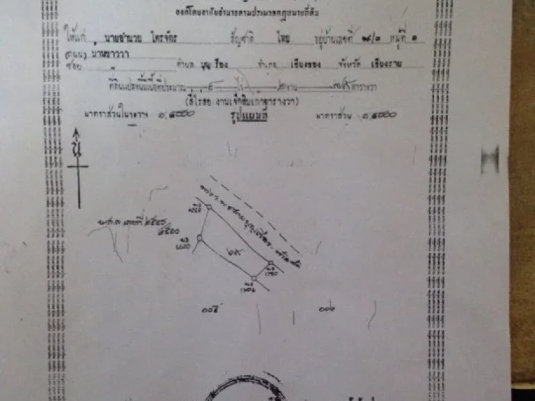 ขายด่วนยกแปลง 4ไร่3งาน โฉนด นส4จ