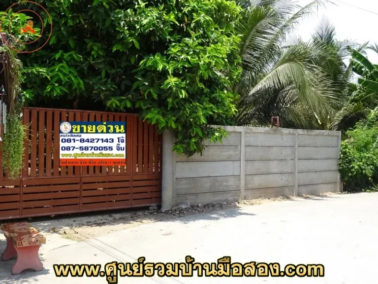 ขายที่ดินสวนมะพร้าว 2843 ตรว ซอยบางป่า 47 จังหวัดราชบุรี