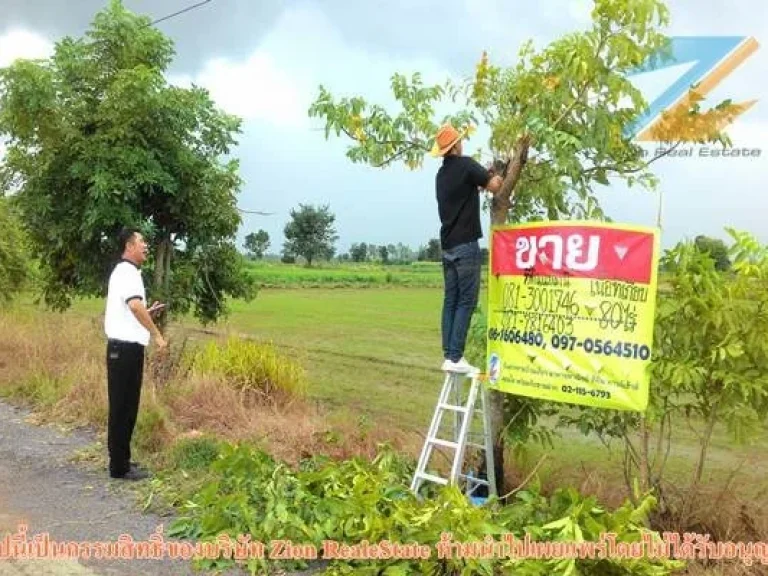 ที่ดินสวยมาก เกือบ 80 ไร่ ตวังงิ้ว เตรียมเปลี่ยนเป็นโฉนด มีห้วยธรรมชาติ ล้อมทุกทิศทางหน้าติดถนนกว่า 1 กม