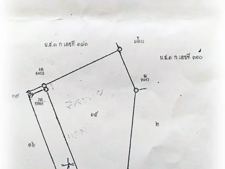 ที่ดินแปลงสวย 5 ไร่ ติดถนนมิตรภาพ แก่งคอย จสระบุรี