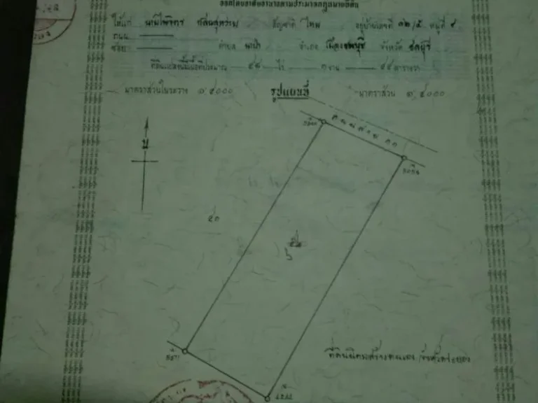 ขายที่ดิน 48-1-44 ไร่ ด้านหน้าติดถนน อนิคมพัฒนา จระยอง