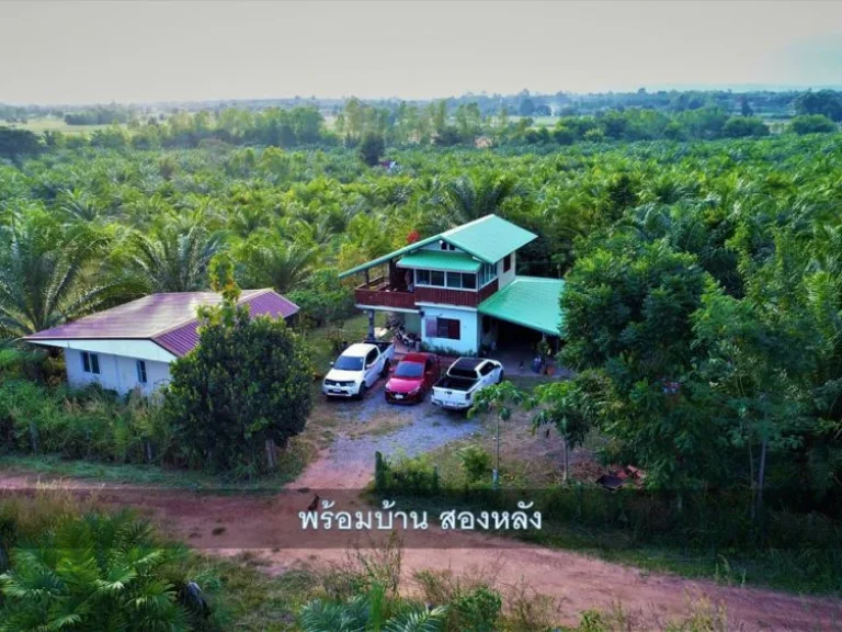 บ้านสวน 2 หลังสวนปาล์ม45ไร่