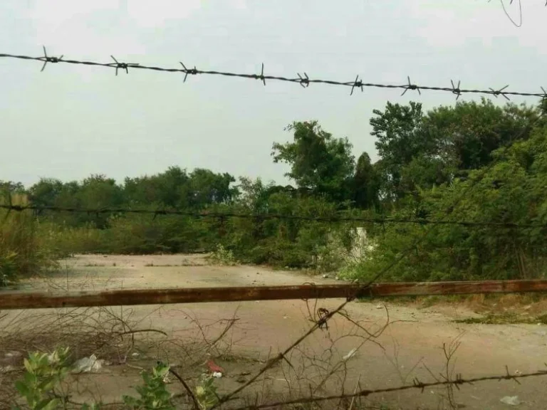 ขายที่ดิน 7 ไร่ อยู่บนถสุขุมวิท-อ่อนนุช เดินทางสะดวก