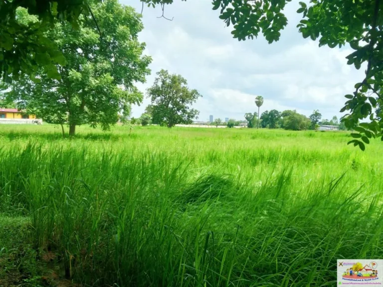 ที่นาติดถนนบ้านกอกน้อย-โคกฟันโปง ตบ้านเป็ด อเมืองขอนแก่น