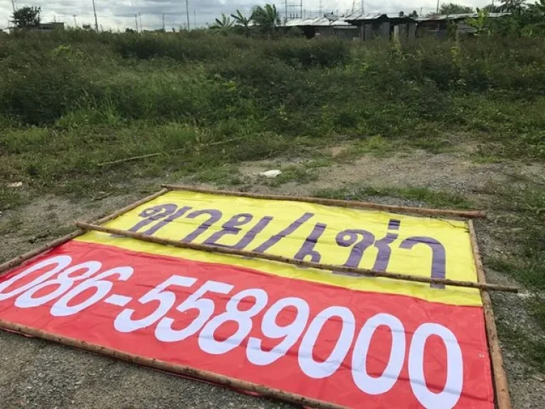 ให้เช่าที่ดินถมแล้ว 200 ตรว เขตไทรน้อย ทวีวัฒนา นนทบุรี