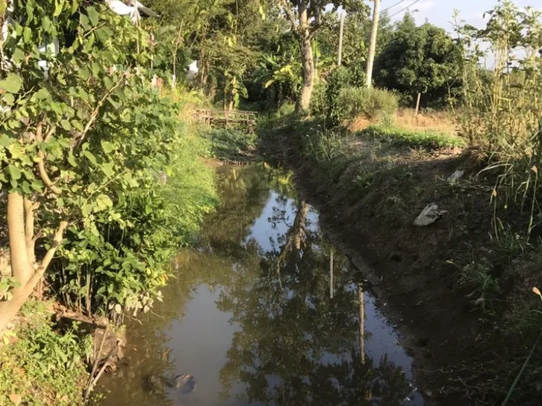 ขายที่ดิน 98 ตรว เชียงใหม่ ติดน้ำ วิวทุ่งนา สวย อากาศดี