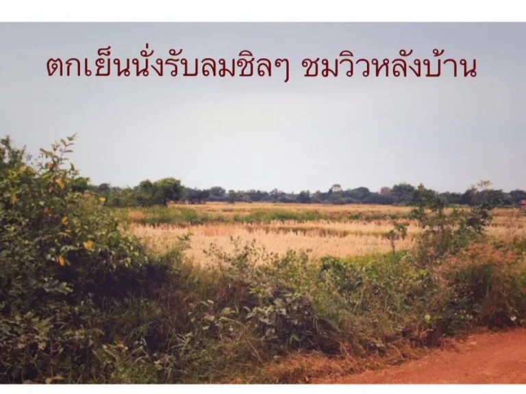 ขายตึกแถว 1 ห้อง ใน อำเภอเมือง จ แพร่