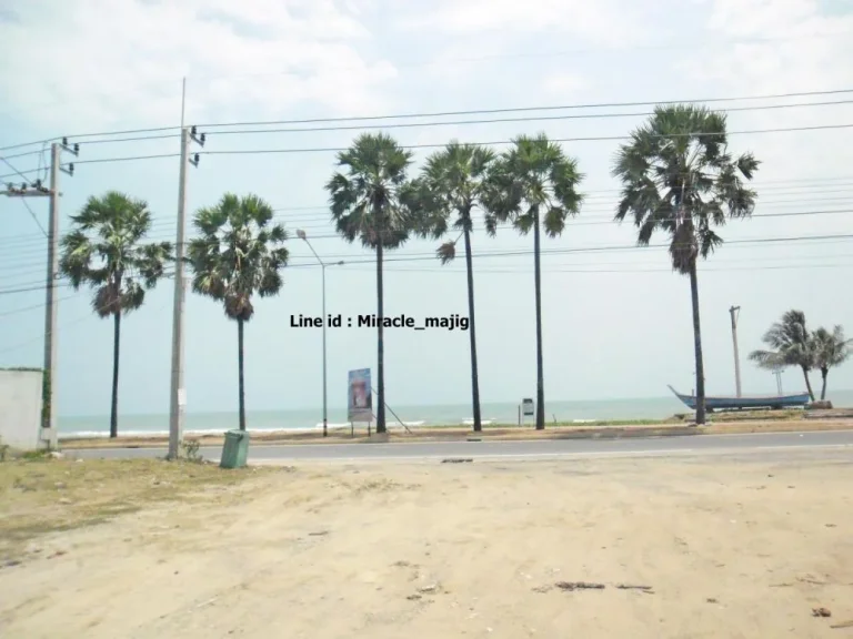 ที่ดินหน้าชายหาดทำโรงแรมห้างสรรพสินค้า