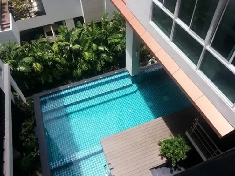 ด่วนให้เช่าคอนโด 19000 ทรี คอนโด ลักซ์ สุขุมวิท 52 Tree Condo Luxe Sukhumvit 52 ใกล้ BTS อ่อนนุช