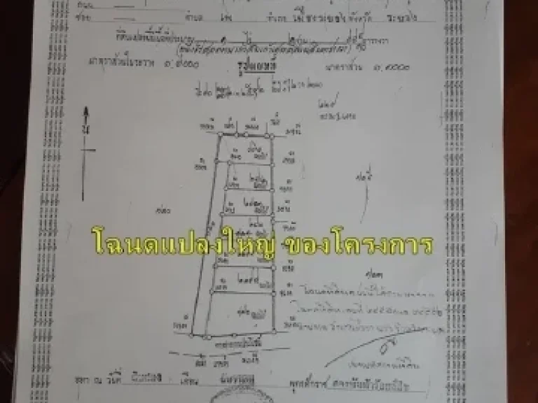 ขายที่ดินศาลาสังกะสีพร้อมโครงการบ้านกึ่งรีสอร์ท บ้านเพ จระยอง