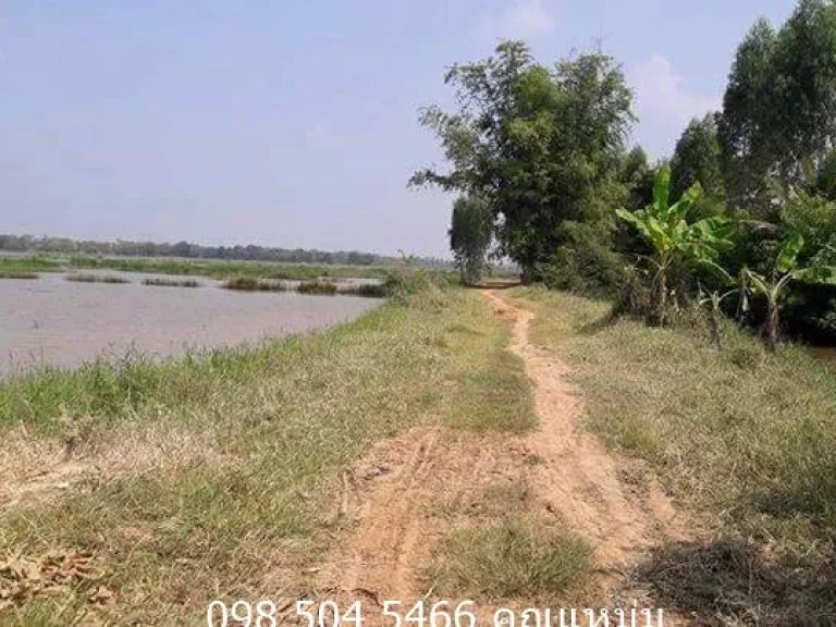 ขายที่นา 15-3-90 ไร่ บ้านกุดตะเคียน ตหนองโดน อจัตุรัส จชัยภูมิ ที่นาติดลำห้วยกุดผักไร ราคา 23 ล้าน