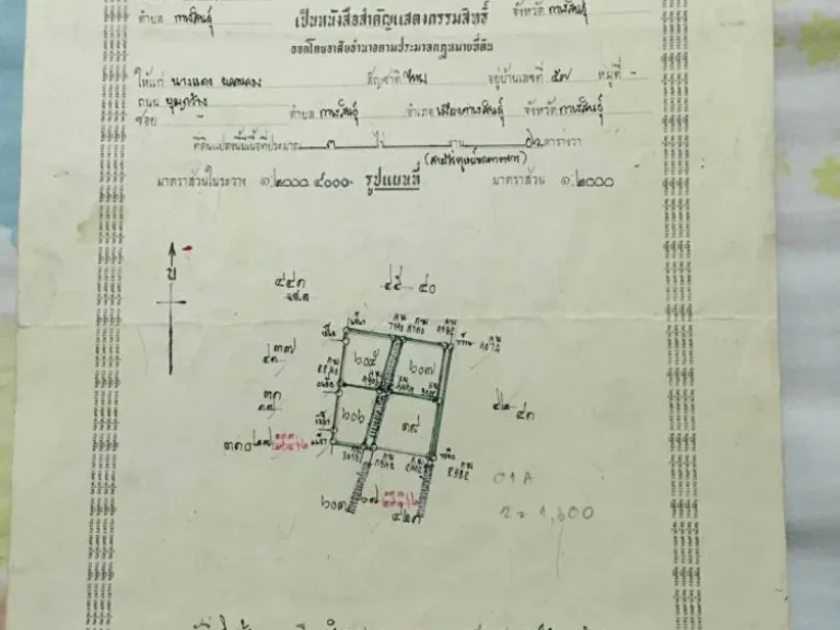 ขายที่ดินถมแล้วในเขต เทศบาล ตหลุบ อเมือง จกาฬสินธุ์