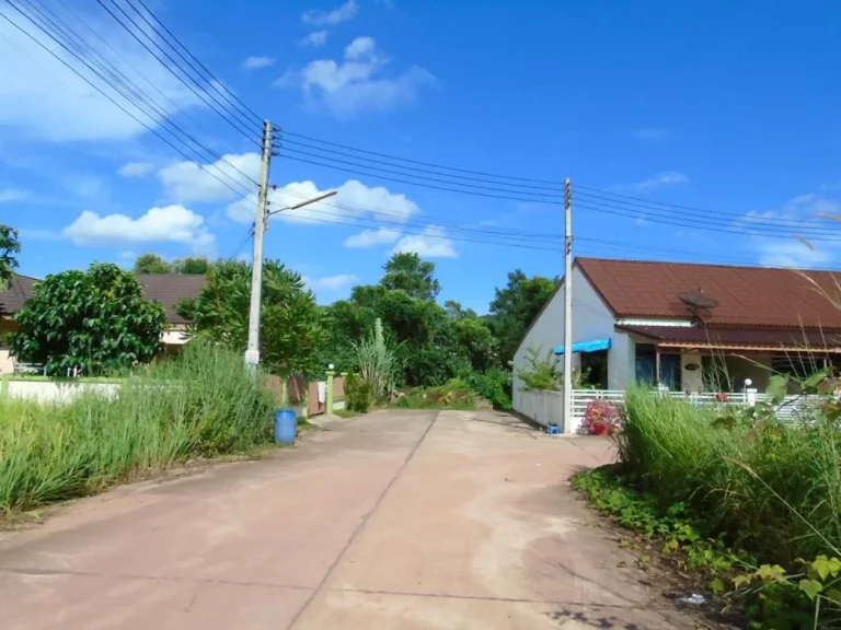 ที่ดินเปล่า 70 ตรวขึ้นไป