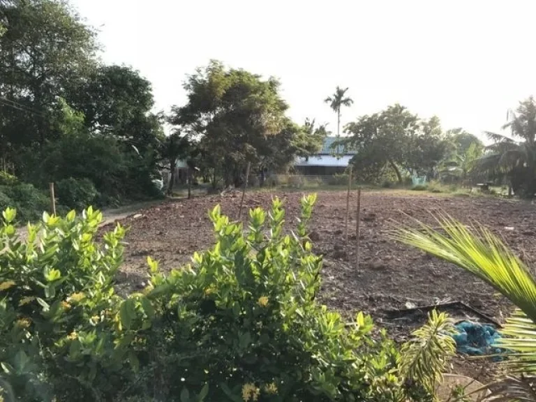 ขายด่วน ที่ดินใกล้หาดเจ้าหลาว-แหลมเสด็จ ถมแล้ว โฉนดพร้อมโอน