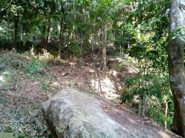 ขายที่ดิน 27ไร่ บนเกาะสมุย ใกล้กับหินตา-หินยายและหาดละไม เหมาะสำหรับทำรีสอร์ท