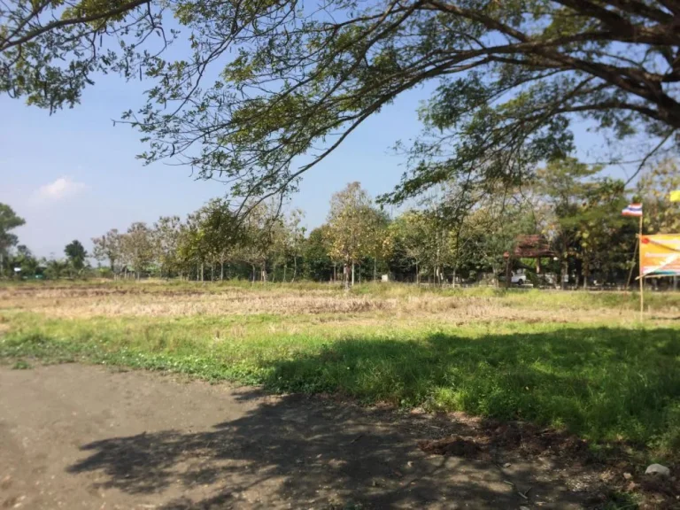 ขายที่ดินใกล้พิพิธภัณฑ์พระพิฆเณศ เชียงใหม่ Land for sales near the Ganesha Himal Museum Chiang Mai