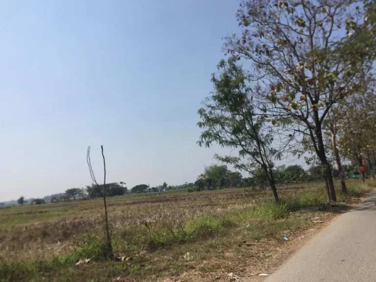 ขายที่ดินใกล้พิพิธภัณฑ์พระพิฆเณศ เชียงใหม่ Land for sales near the Ganesha Himal Museum Chiang Mai