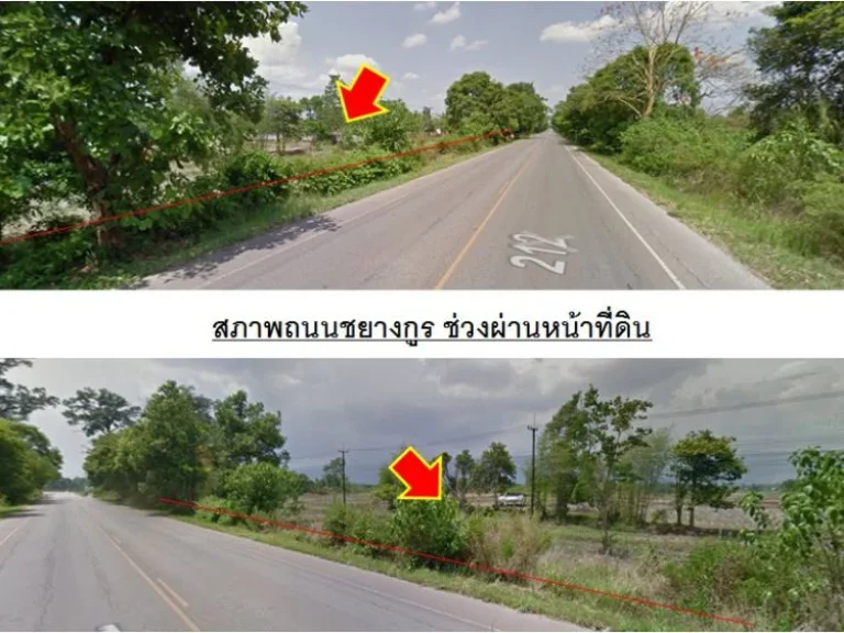 ขายที่ดิน 51 ไร่ ด้านหน้าติดถนนชยางกูร ด้านหลัง ติดแม่น้ำโขง อเมือง จบึงกาฬ ใกล้วัดอาฮงศิลาวาส ampquot