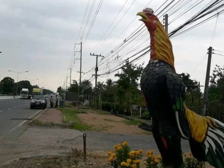 ขายที่ติดถรังสิต-นครนายกระหว่างคลอง12-13