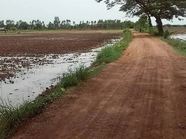 ที่ดินสวยติดถนน 7 ไร่ ในอำเภอเมือง จังหวัดขอนแก่น