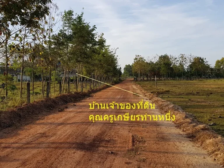 ที่ดินแบ่งขาย ในเขตเทศบาลเมือง ตบัวขาว อกุฉินารายณ์ จกาฬสินธุ์ ทำเลดี