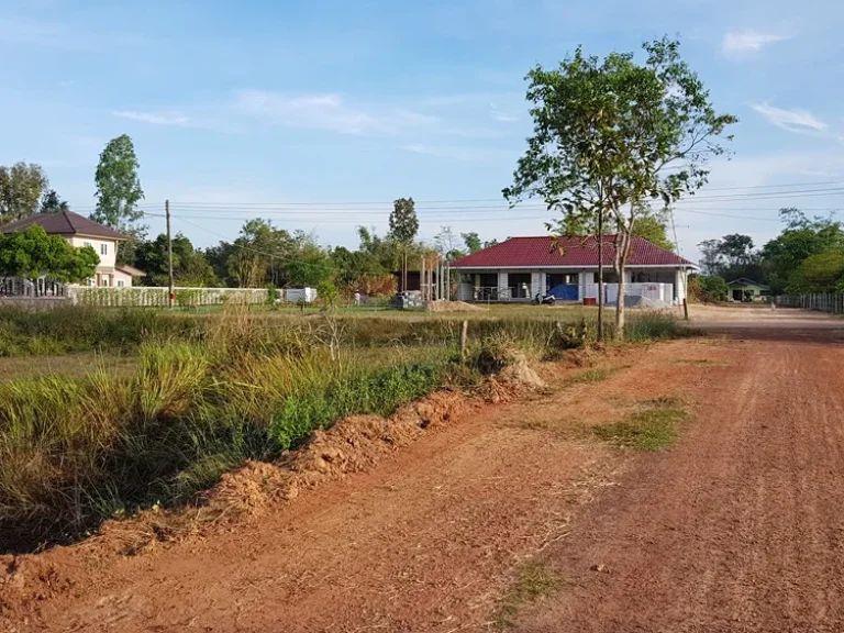 ที่ดินแบ่งขาย ในเขตเทศบาลเมือง ตบัวขาว อกุฉินารายณ์ จกาฬสินธุ์ ทำเลดี