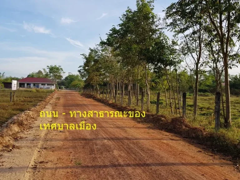 ที่ดินแบ่งขาย ในเขตเทศบาลเมือง ตบัวขาว อกุฉินารายณ์ จกาฬสินธุ์ ทำเลดี