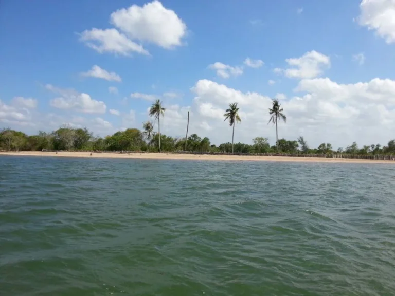 ขายที่ดินติติดทะเล หาดส่วนตัว เมืองกระบี่ 12ไร่ ขายรวม 96000000 ล้าน ทำเลดี ติดชายหาด หาดทรายขาว