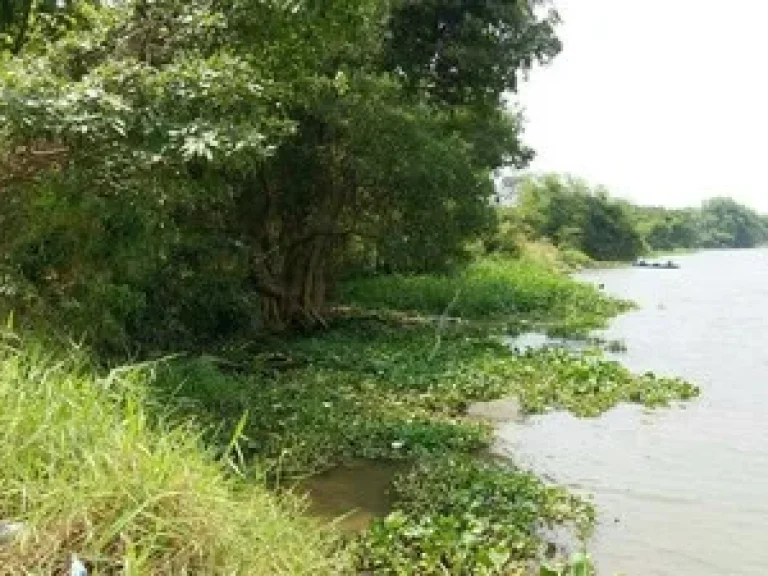 ขายที่ดินติดแม่น้ำเจ้าพระยา ติดถนนบางกะดีสายใน อเมือง จปทุมธานี