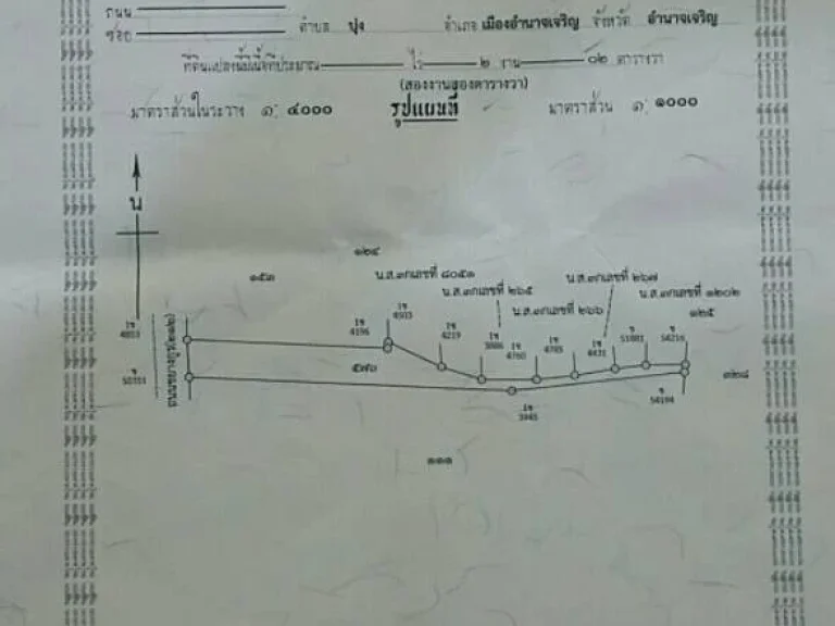 ขายที่ดิน ติดถชยางกรู จอำนาจเจริญ เจ้าของที่ดินขายเอง