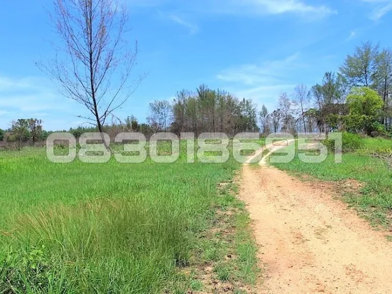 ที่ดิน 37 ไร่ เช่าระะยะยาว หาดบางสัก เขาหลัก จ พังงา