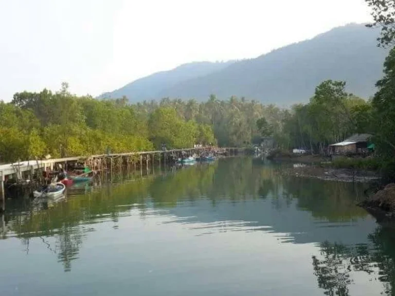 ขายที่โฉนดบนเกาะช้าง ทำเลสวย ใกล้ท่าเรือ เหมาะทำรีสอร์ท โรมแรม