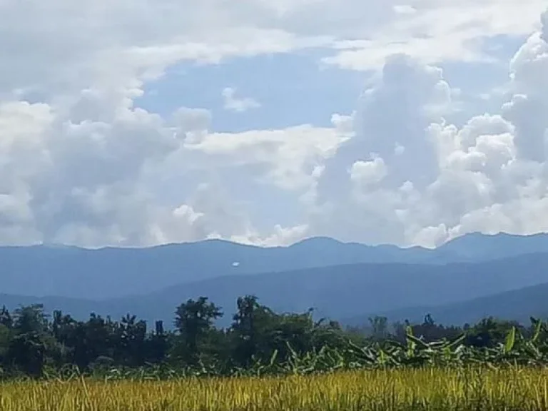 ขายที่ดิน 5 ไร่ แม่แตง เชียงใหม่ เหมาะทำบ้านพักและรีสอร์ท สัมผัสวิวธรรมชาติภูเขาพร้อมบ่อน้ำมีน้ำตลอดปี