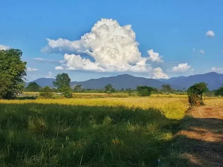 ขายที่ดินแปลงสวย ที่นา วิวเขา วิวทุ่งนา สวย ใกล้เขื่อนแม่งัด ภูสันฟ้ารีสอร์ท วัดบ้านเด่น วัดอรัญญวิเวก ที่ตั้ง อินทขิล อแม่แตง จเชียงใหม่ พื้นที่สี