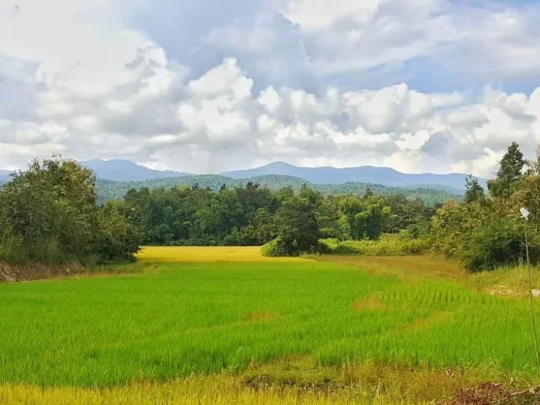 ขายที่ดินแปลงสวย ที่นา วิวเขา เอกสารเป็นโฉนดถูกต้อง ที่ตั้ง ตสบเปิง อแม่แตง จเชียงใหม่ ขายด่วน เนื้อที่ 1 ไร่ 1 งาน ต้องการขายยกแปลง 6 แสนบาท ห่าง