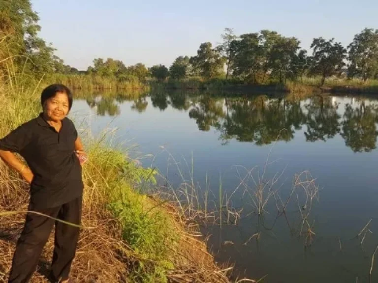 ขายที่ดิน7 ไร่ อยู่ตัวเมืองสุโขทัย อเมือง จสุโขทัย