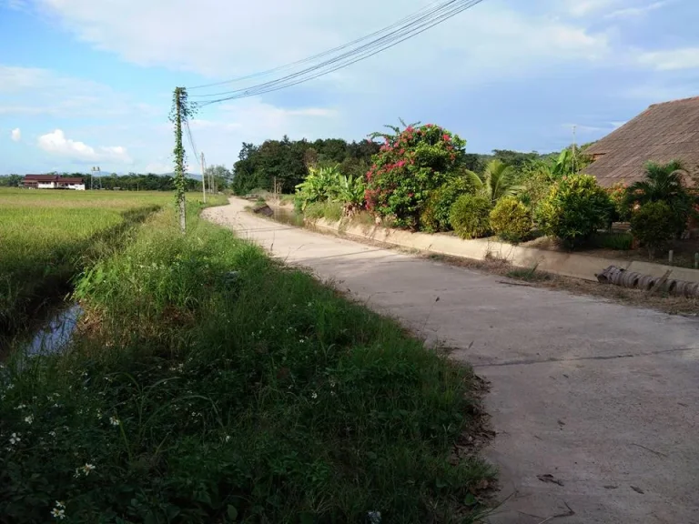 ขายที่ดินติดแม่น้ำปิงวิวหลักร้อย ดอยหลวงกับดอยนาง