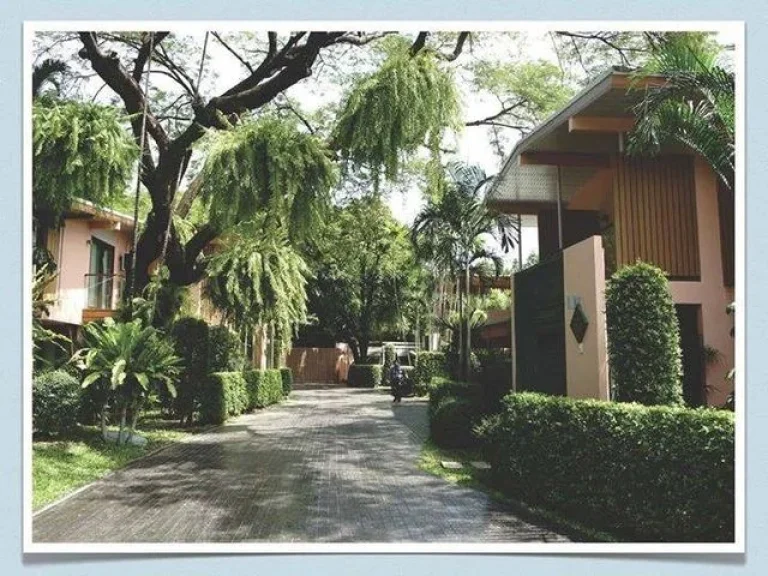 For Rent The Luxury Compound Single House In SATHORN Area