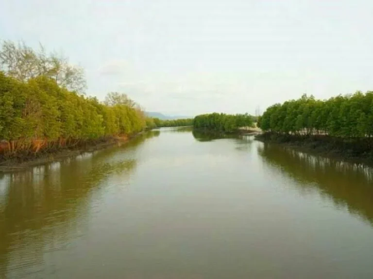 ขายที่ดิน พร้อมชายหาดส่วนตัว สวยมากๆ อเมือง จตราด