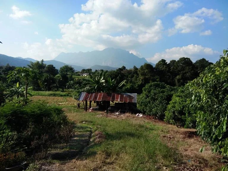 ขายที่ดินติดลำเหมืองและลำห้วยวิวดอยหลวง